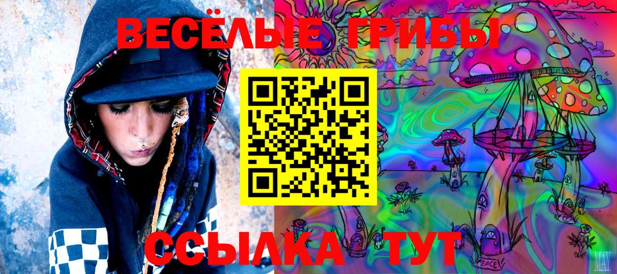 Псилоцибиновые грибы Psilocybine cubensis Назрань