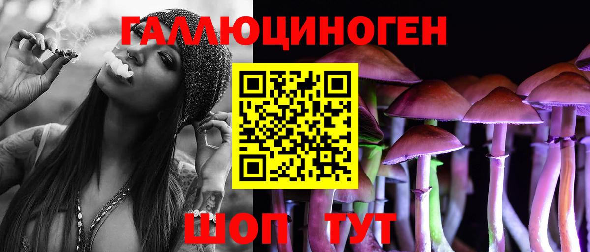 Псилоцибиновые грибы MAGIC MUSHROOMS  Вход с VPN  Назрань 