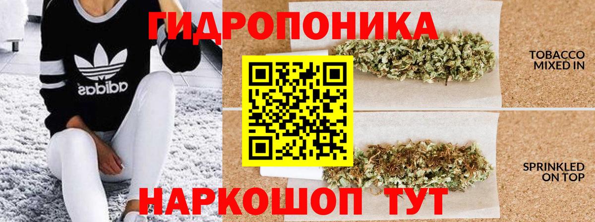 Конопля AK-47  Каннабис план  Назрань  Бошки Шишки марихуана  Вход с VPN 